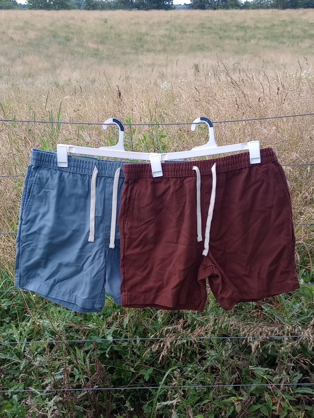 Goodfellow The Vintage Men's Drawstring Pull-On Shorts in Blue and Brown Large